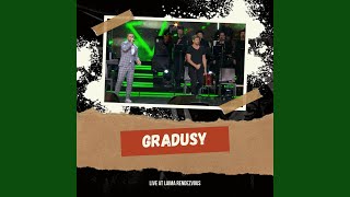Режиссер (Live) - Gradusy