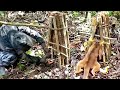 Trampa de lazo universal: para muchos tipos de animales