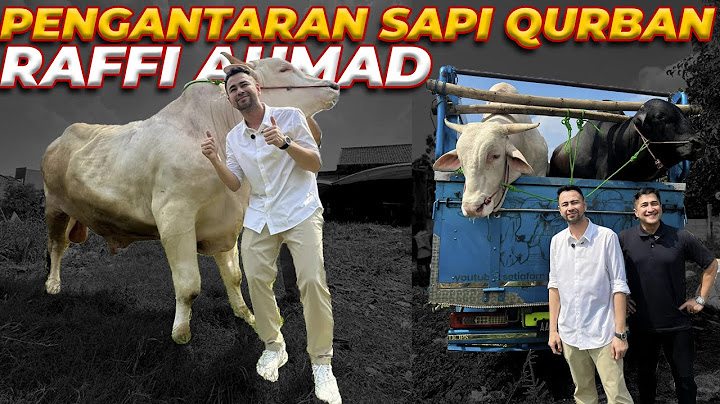 SAPI JUMBO SETIA FARM DIANTAR LANGSUNG BARENG GW! GAK MUAT TRUK?? 😳🔥
