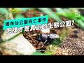 獨角仙公園死亡事件｜怎樣才是真正的生態公園？(公視我們的島 第1367集 2026-07-20)