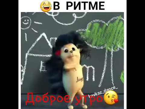 Танцующий ёжик на пеньке. Ежик танцует. Ёжик танцует на пеньке. Ежик бамбалейло. Танцующий ежик.