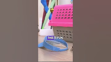 Lucas makes the perfect webouncer! #LucastheSpider #cartoons #cartoonforkids