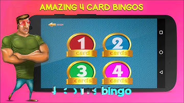 Funny Bingo Bash Jackpot