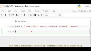 len em Python Python Fun #video10
