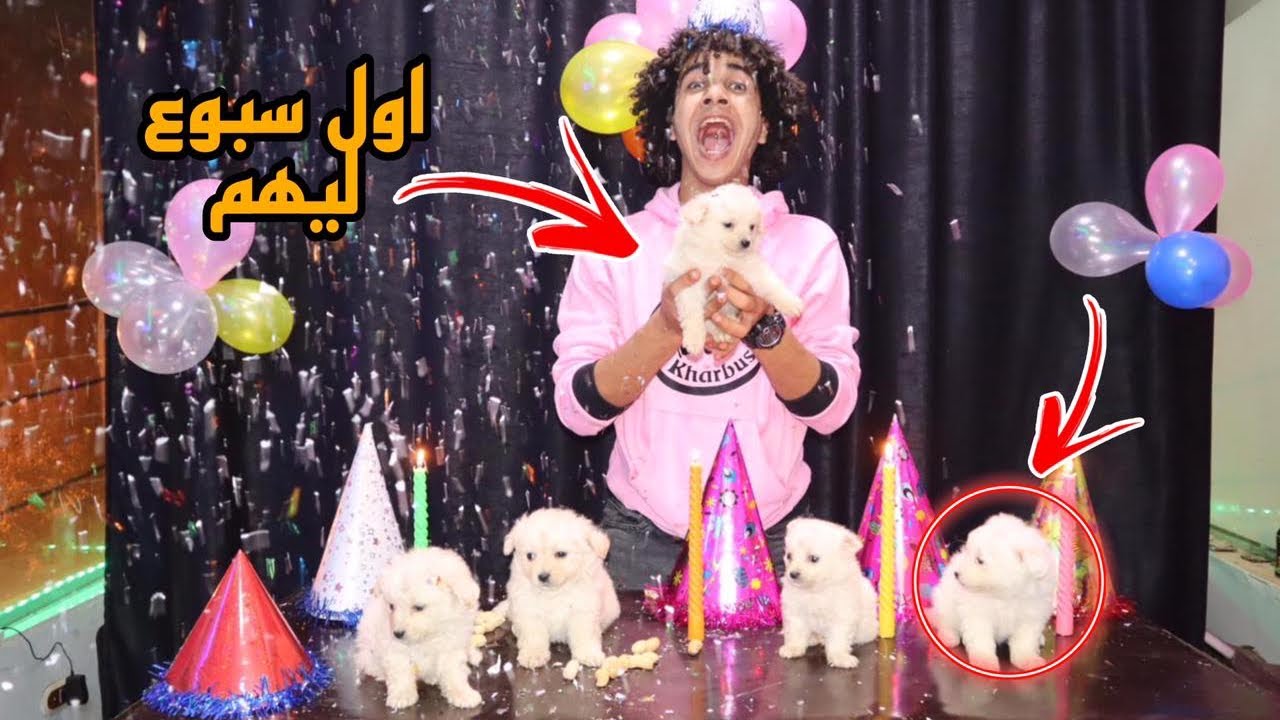 عملنا أول سبوع للكلاب في العالم (سبوع ولاد خربوش)😍