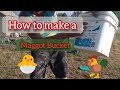 How to make a maggot bucket |FREE chicken feed| THEY LOVE IT!