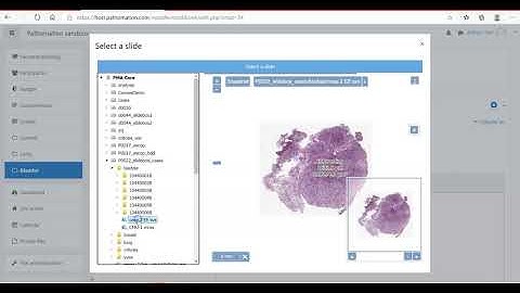 See how Pathomation allows you to seamlessly integrate your virtual slides into Moodle