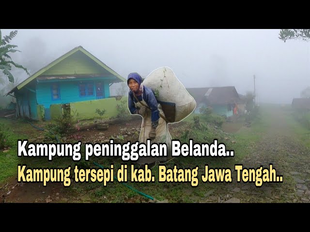 INILAH KAMPUNG TUA PENINGGALAN BELANDA, KAMPUNG TERSEPI DI KABUPATEN BATANG JAWA TENGAH. class=