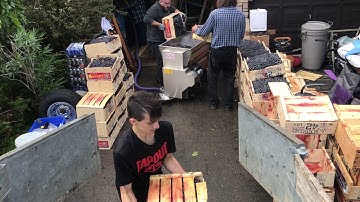 Making wine from grapes with a destemmer