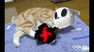 Slugcats' first experience with scavenger bombs