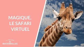 Magique, le safari virtuel - La Maison des maternelles #LMDM