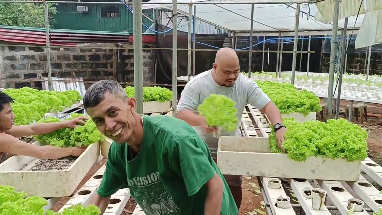 Signal Number 4 and We survived typhoon Uwan