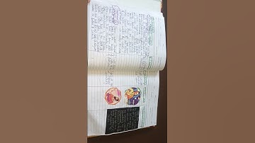 B.ED(THE VEDIC AGE)SOCIAL SCIENCE MACRO LESSON PLAN. #gndu  AMRITSAR.