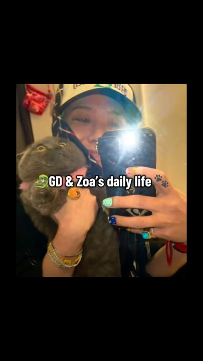 GD & Zoa’s daily life 🐾 Zoa’s pics 📸sooo cute 😍💕#gd#zoa#gdargon #hongkong #concert #fyp