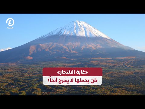 غابة الانتحار من يدخلها لا يخرج ابدا