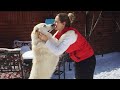 These Animals Don&#39;t Forget Their Owners That Will Touch Your Heart Animal Reunion