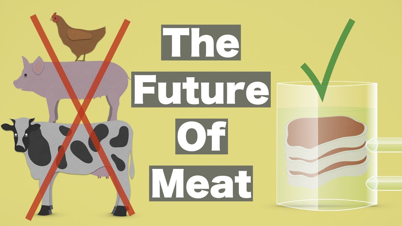 the future of meat youtube