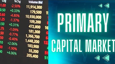 Introduction to Primary Capital Market | PART 1 | Unit 10 MCO 4 MCOM 2nd year IGNOU