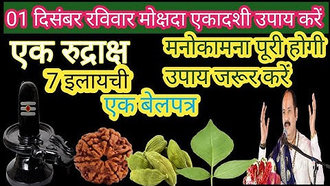 01 दिसंबर रविवार मोक्षदा एकादशी उपाय। एक रुद्राक्ष 7 इलायची।। एक बेलपत्र मनोकामना पूरी होगी।