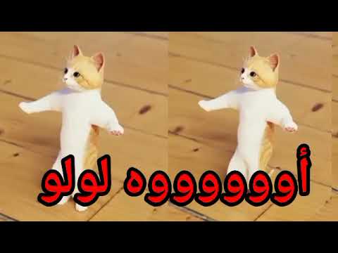 اغنية باسم لولو الحلوة عيد ميلادها اول تعليق السعودية العراق ابوظبي تركيا الجزائر الرياض دبي الكويت