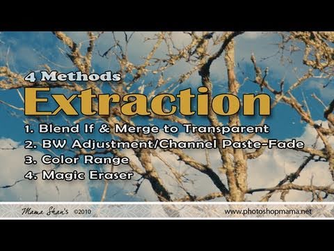 4 EXTRACTION METHODS - YouTube