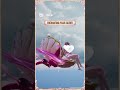 PUBG mobile New ultimate coming soon 🎀 #love #pubg #jiskeaanesemukammalhogayithizindagisong #pubgmob