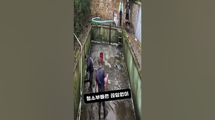 9년동안 방치된 역대급 더러운 수영장을 청소하는 방법
