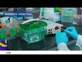 Western blot - 03 电泳