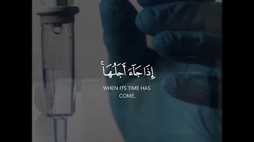 { و لن يؤخر الله نفسًا إذا جاء اجلها } || تلاوة تبكي القلب 🥺❤️