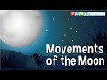 Moon Phases and Their Characteristics