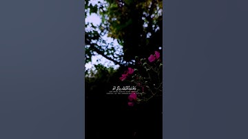 سورة الرعد 🤍🌸| القارئ عبد الرحمان مسعد #القرآن_الكريم #اكتب_شي_تؤجر_عليه #اكسبلور #راحة_نفسية