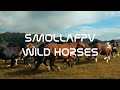 ДИКИЕ ЛОШАДИ АЛТАЙ/WILD HORSE RUNING FPV 4K