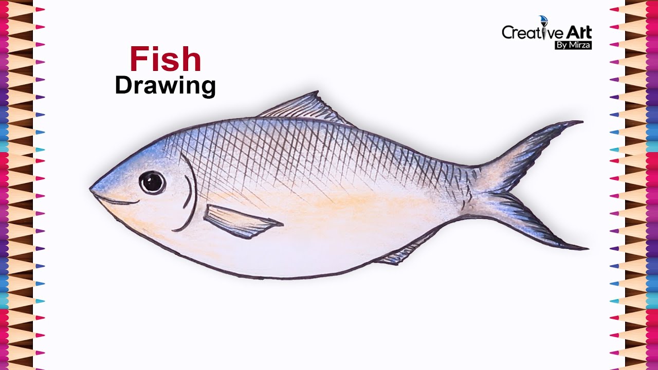 How to draw a fish very easy (step by step) | Hilsa fish drawing ...