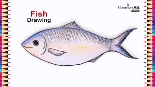 How to draw a fish very easy (step by step) | Hilsa fish drawing easy