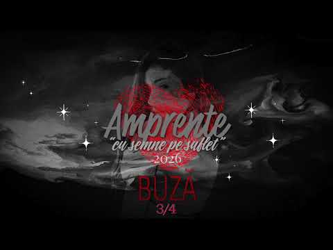 David Gaeris x BR0NX - Suflet pereche (ft.Vanessa)