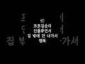 [ACTING SHORTS] 프로집순이 인플루언서. 집 밖에 안 나가서 행복 #korean #상황극 #공감