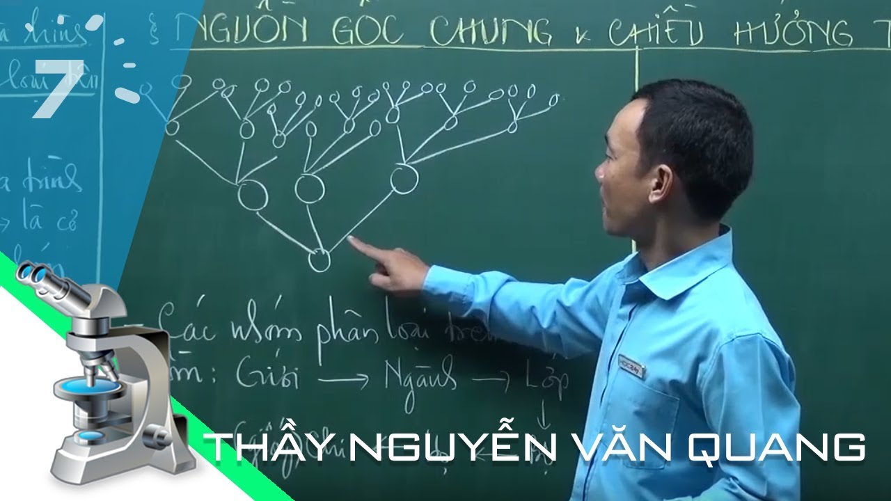 Sinh học 12 Bài 19: Nguồn gốc sự sống| HỌC247 - youtube