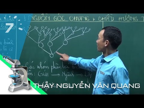 Video Sinh học 12 Bài 19: Nguồn gốc sự sống| HỌC247 - youtube