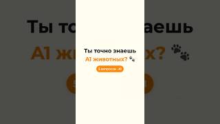 Ты точно знаешь A1 животных? BIRD FISH SWIM FLY | SpeakWell