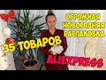 ОГРОМНАЯ НОВОГОДНЯЯ РАСПАКОВКА С #АЛИЭКСПРЕСС / 35 новогодних товаров / гирлянды/ новогодний декор