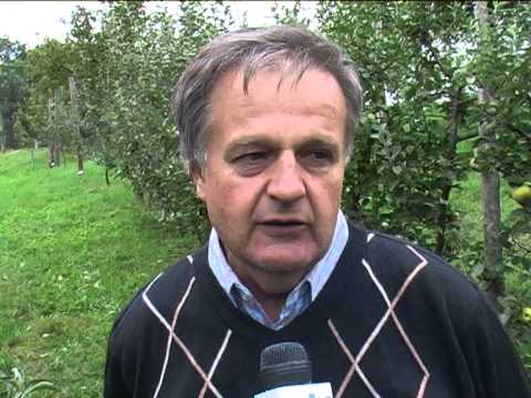 Video: Drevesnica PTF Priroda V Okrožju Puškinski