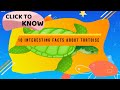 10 interesting facts about tortoise/facts about turtles