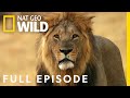 Lion Uprising: First Blood in the Fight for Territory (Full Episode) | Savage Kingdom