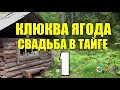 ДВА БРАТА В ТАЙГЕ | ГДЕ РАСТЕТ КЛЮКВА - НА БОЛОТАХ | БРАТ НА БРАТА | СУДЬБА ЧЕЛОВЕКА 1