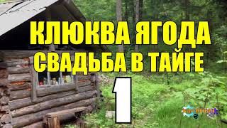 ДВА БРАТА В ТАЙГЕ | ГДЕ РАСТЕТ КЛЮКВА - НА БОЛОТАХ | БРАТ НА БРАТА | СУДЬБА ЧЕЛОВЕКА 1