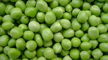 Spray sorting Green Peas | RAYTEC VISION SpA