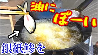 #2 銀紙を張りつけたような魚を油にぶち込んでみた！