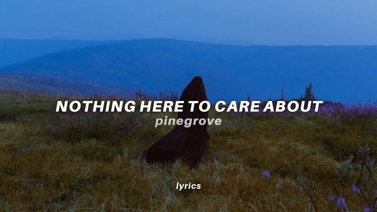 Pinegrove Need 2 (tiktok version) lyrics "nothing here to care