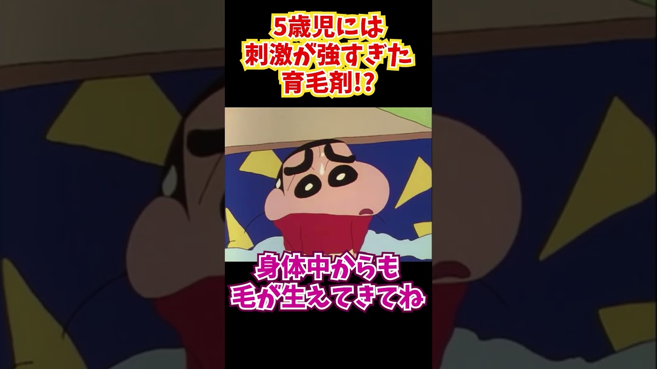 5歳児には刺激が強すぎた育毛剤!?『オラの髪が伸びたゾ』#クレヨンしんちゃん #野原しんのすけ #野原みさえ #野原ひろし #野原ひまわり #爆笑