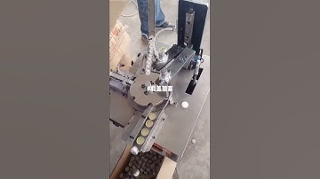 Automatic single head bottle cap wadding foil lining machine